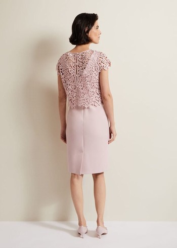 Phase Eight Daisy Lace Dress Pink Canada | XHYJQE-851